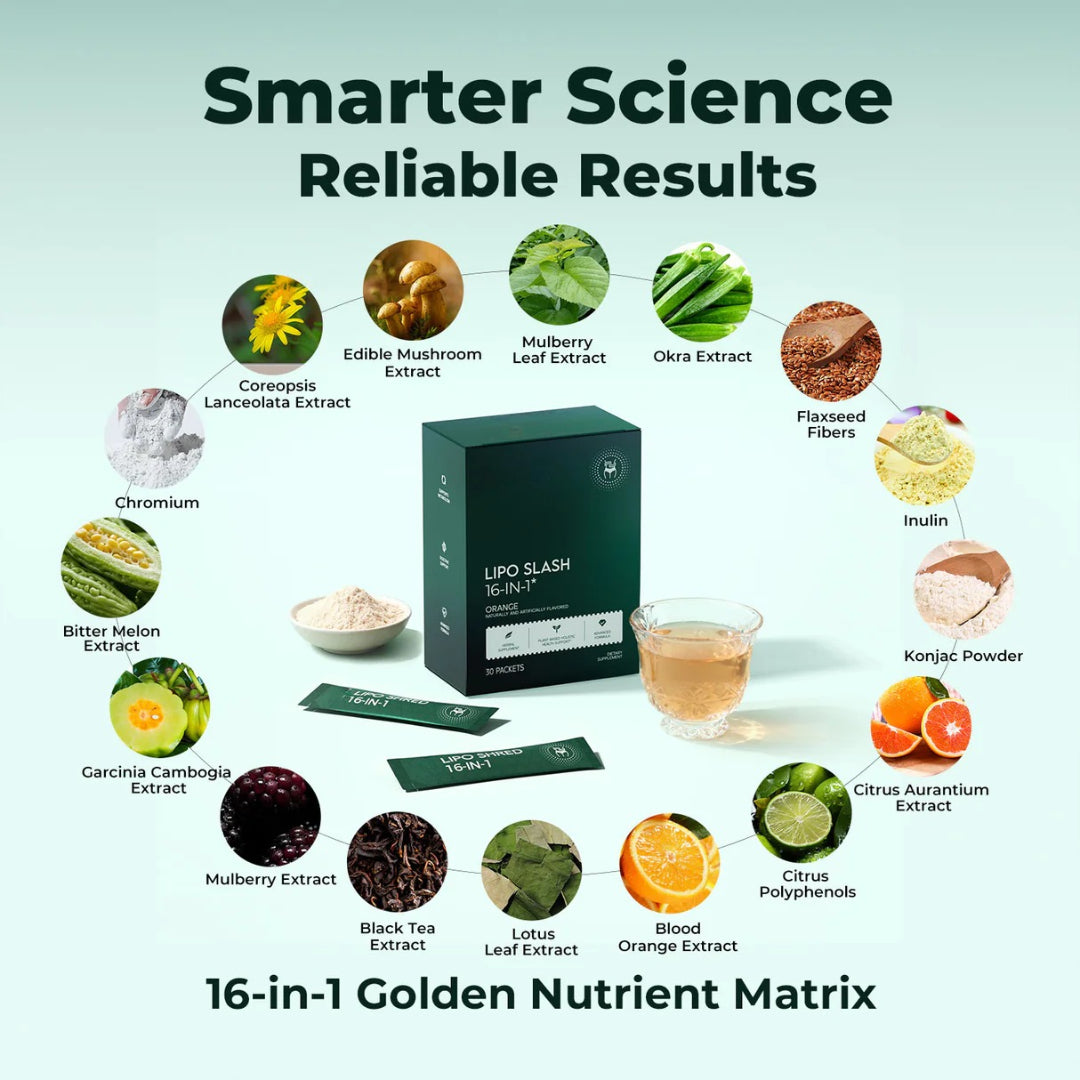 LIPO SLASH 16-IN-1