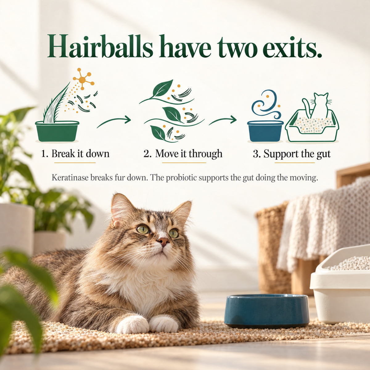 Gut Health Kit: Cat Grass Treats + Daily Probiotic