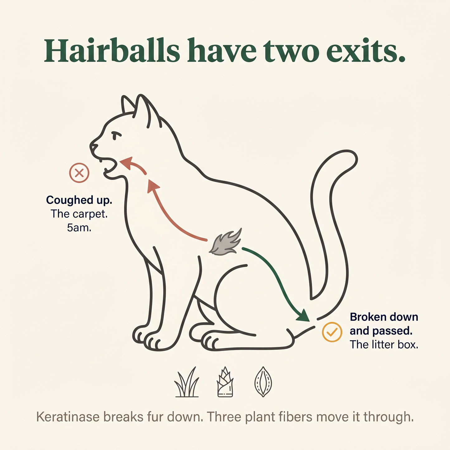 Freeze-Dried Cat Grass Treats for Hairball Relief
