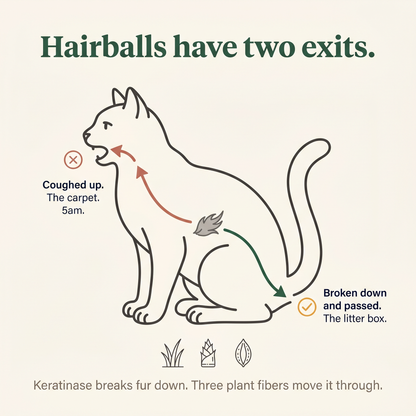 Freeze-Dried Cat Grass Treats for Hairball Relief