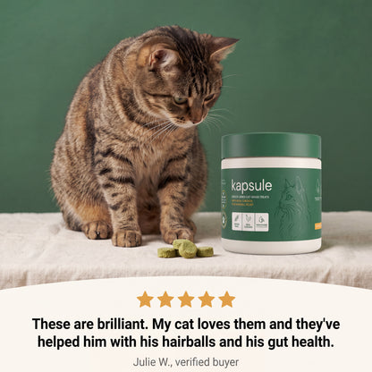 Gut Health Kit: Cat Grass Treats + Daily Probiotic