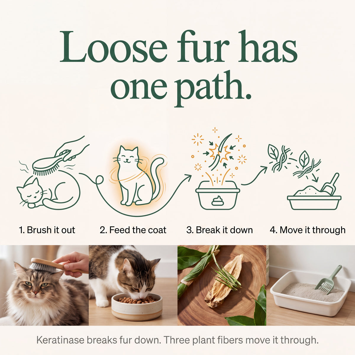 Shedding Season Kit
