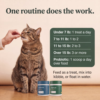 Gut Health Kit: Cat Grass Treats + Daily Probiotic