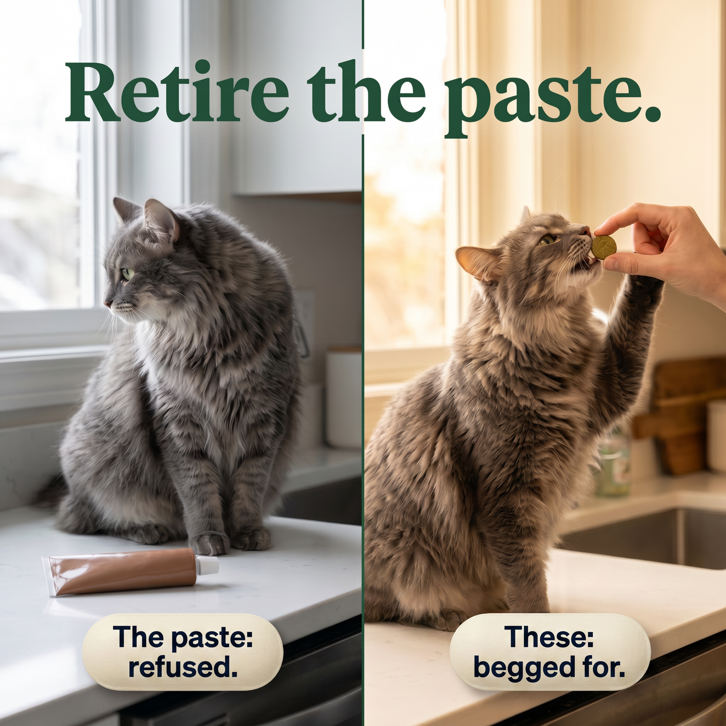 Freeze-Dried Cat Grass Treats for Hairball Relief