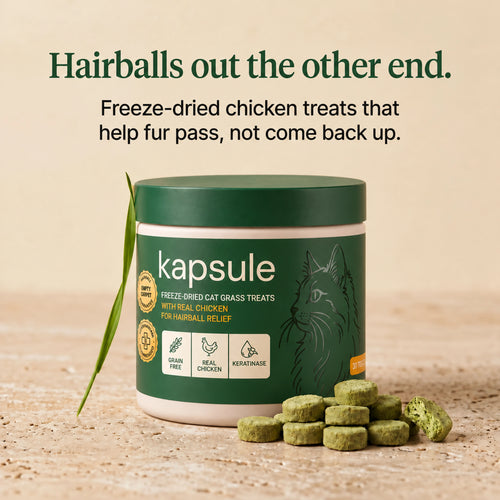 Freeze-Dried Cat Grass Treats for Hairball Relief