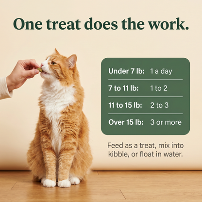 Freeze-Dried Cat Grass Treats for Hairball Relief