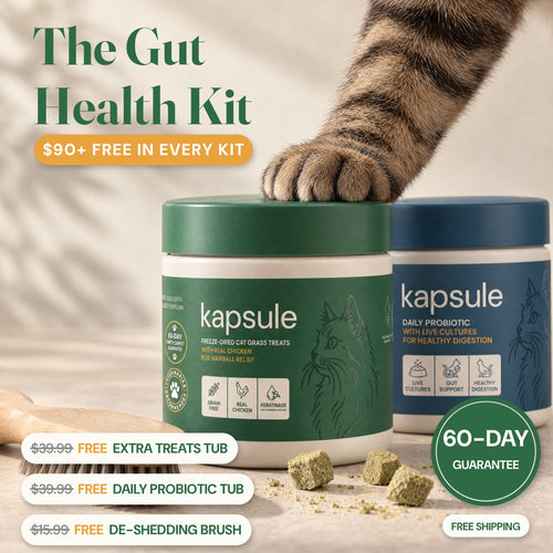 Gut Health Kit: Cat Grass Treats + Daily Probiotic